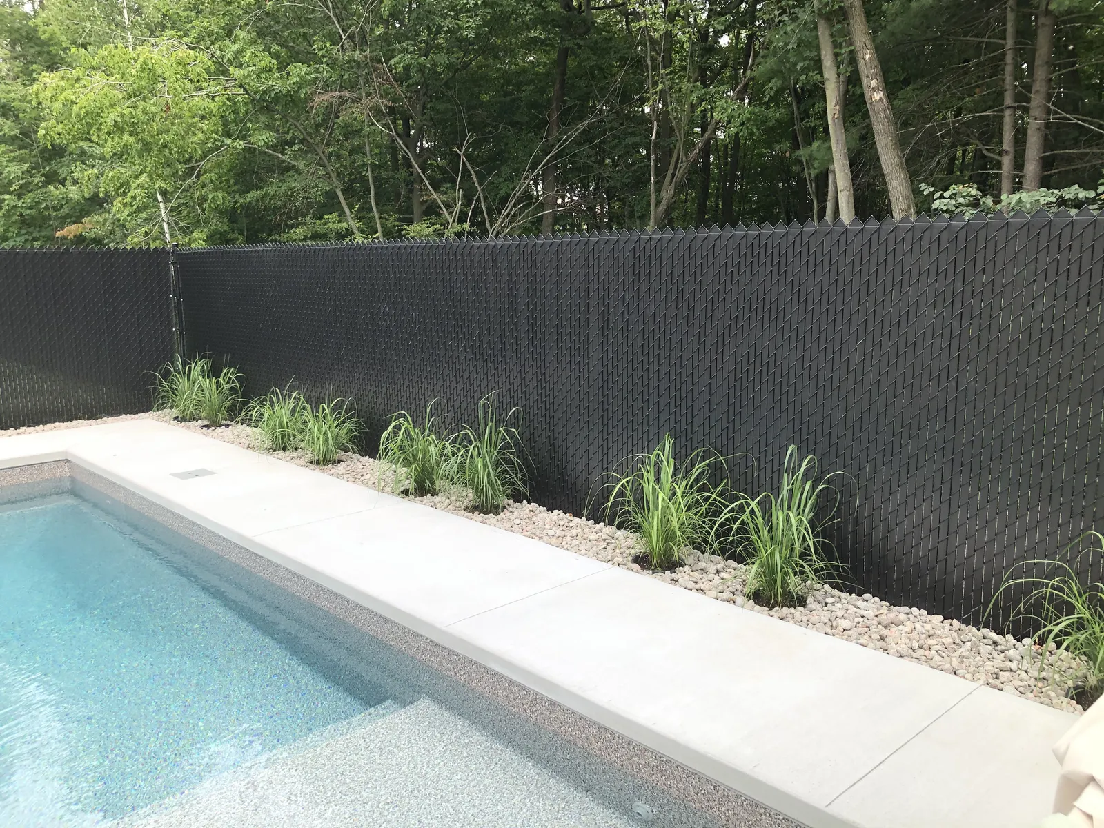 Clôture en maille de chaîne avec lattes d'intimité le long d'une piscine et plantations