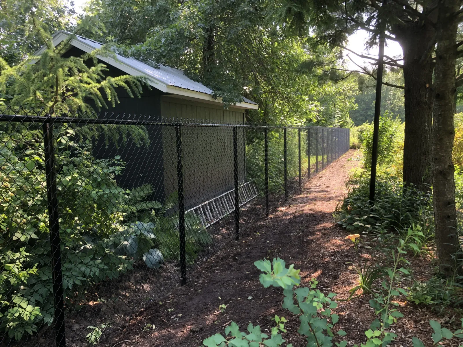 Clôture en mailles de chaînes noire en milieu boisé