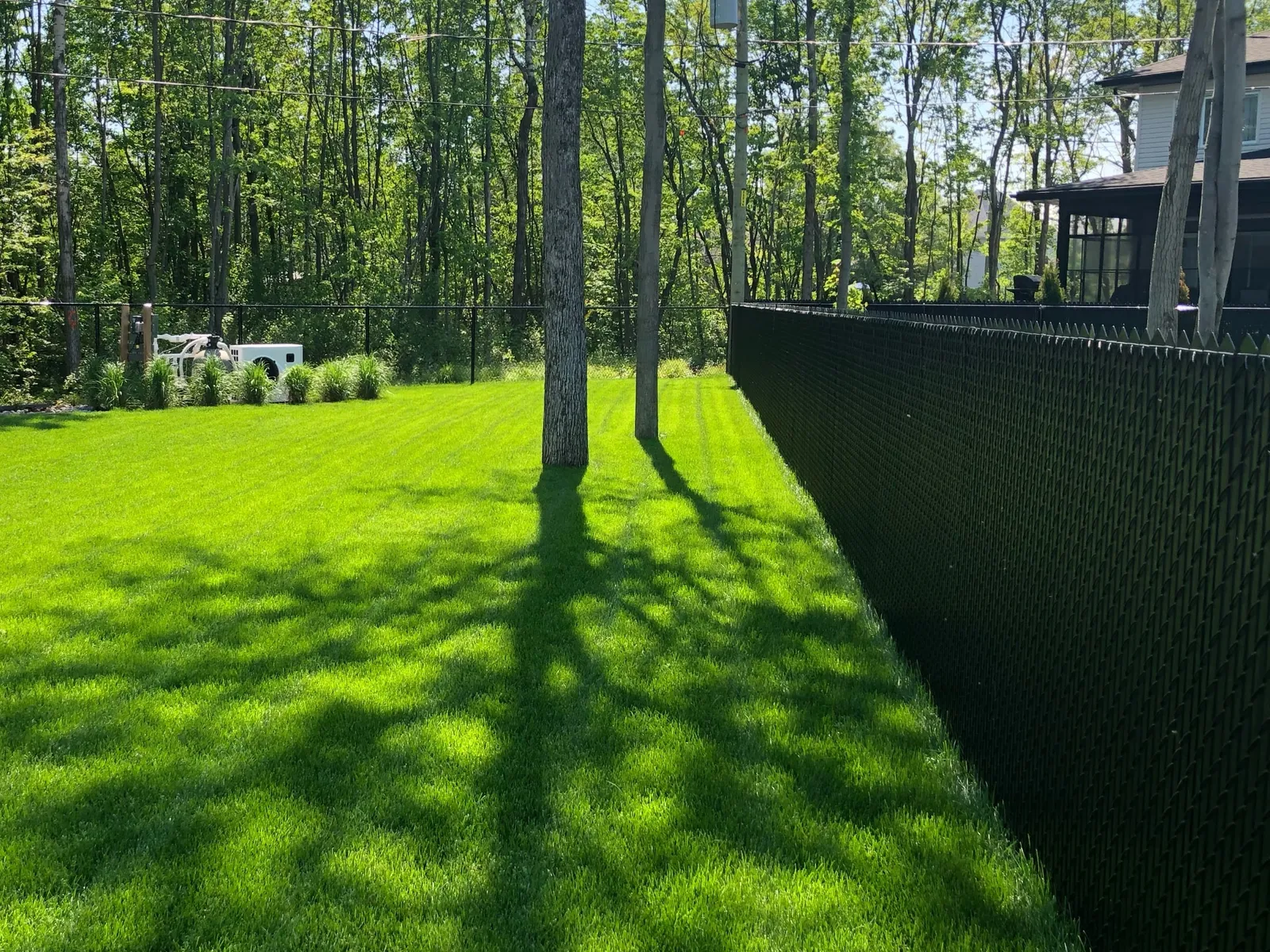 Chain link fence #002