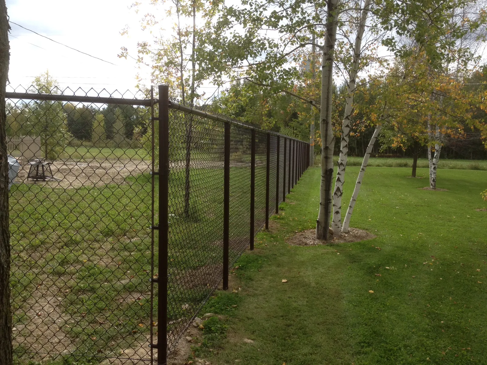 Chain link fence #004