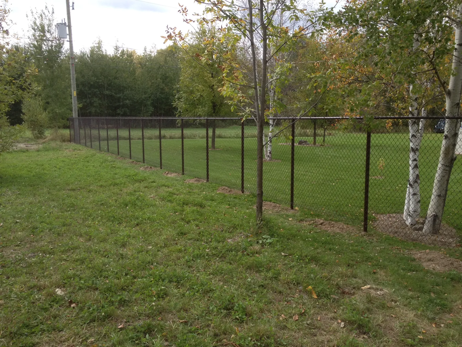 Chain link fence #005