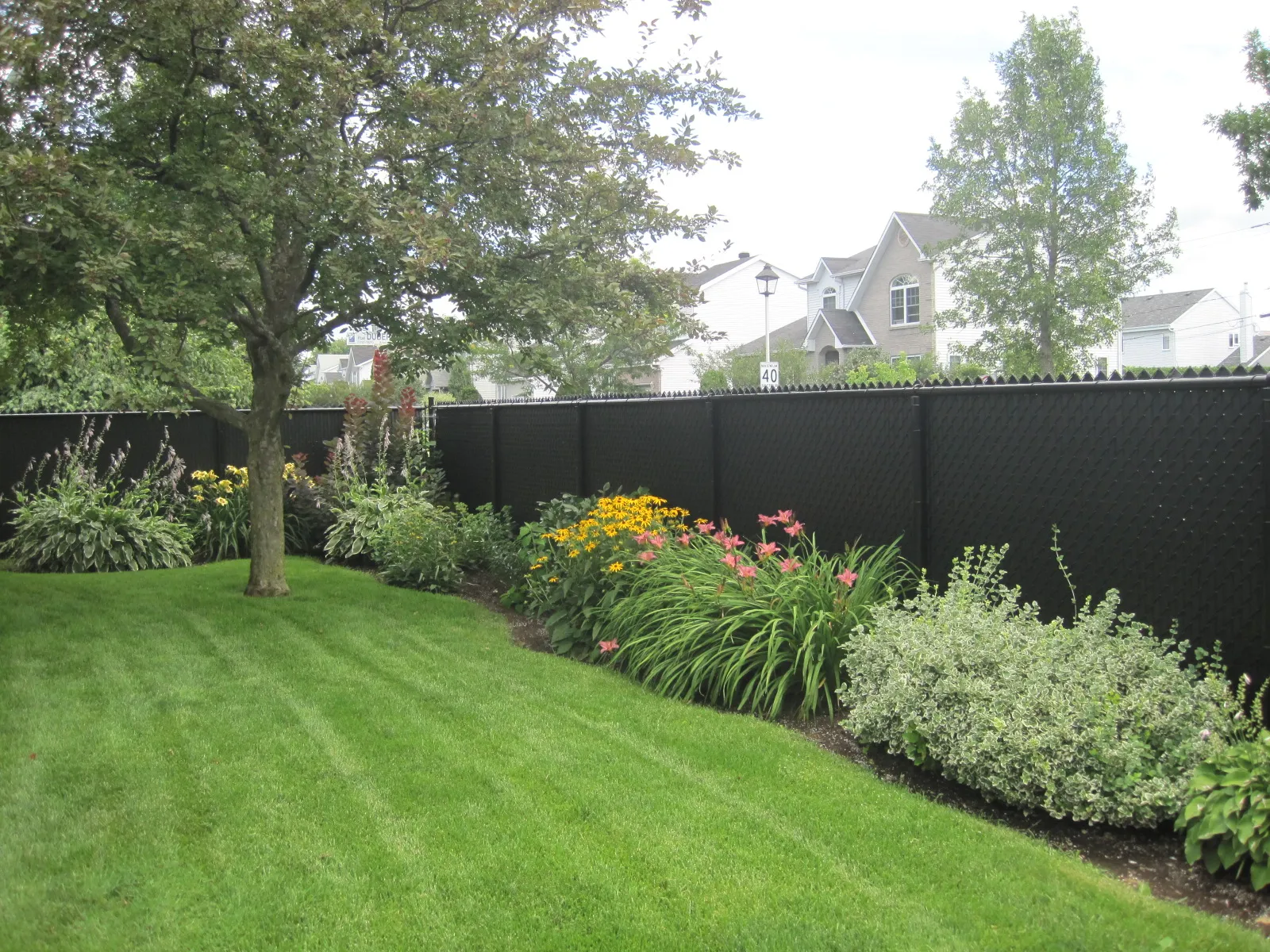 Chain link fence #009