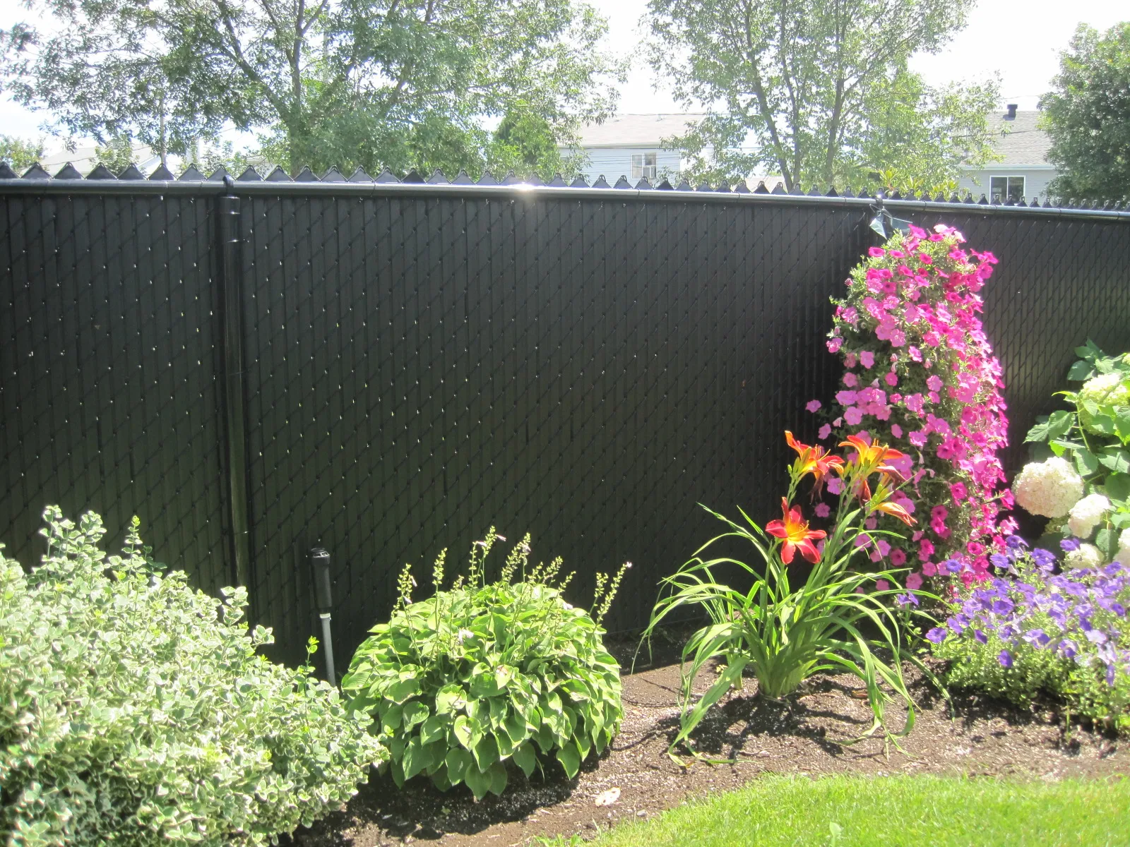 Chain link fence #010