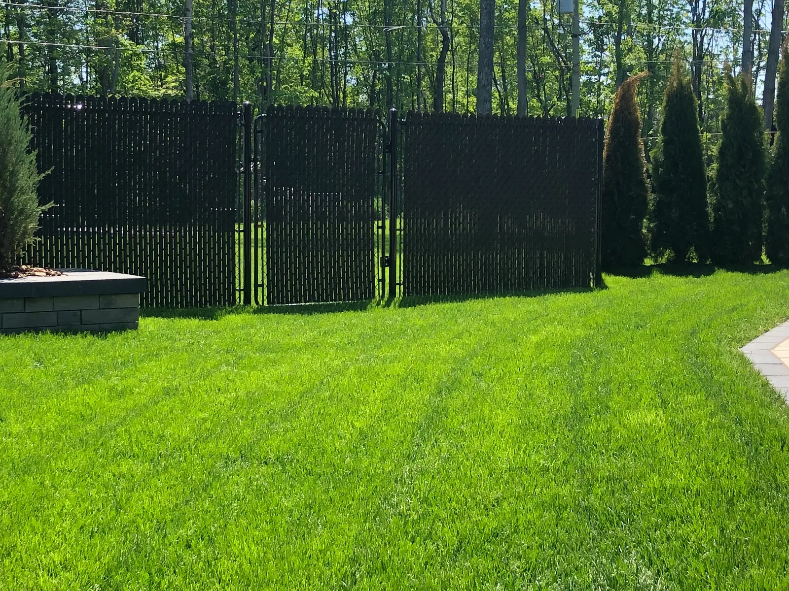 Chain link fence #013