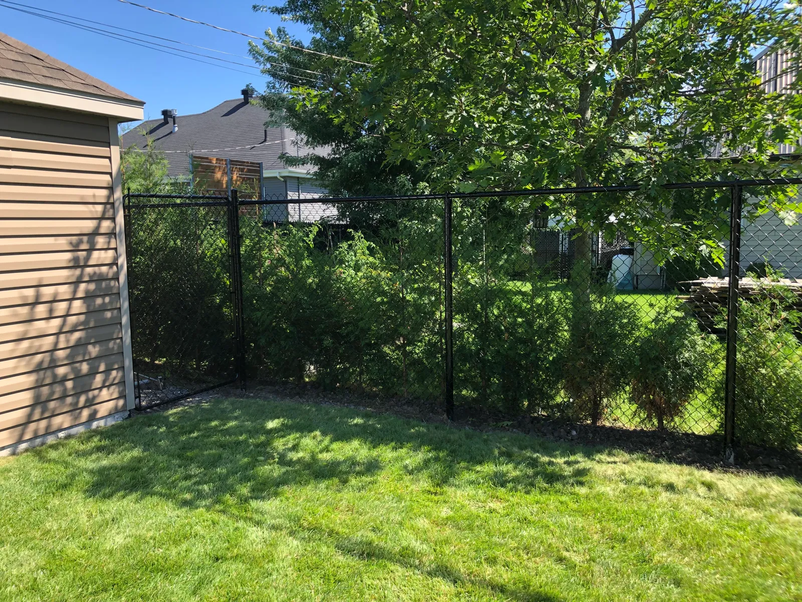 Chain link fence #020