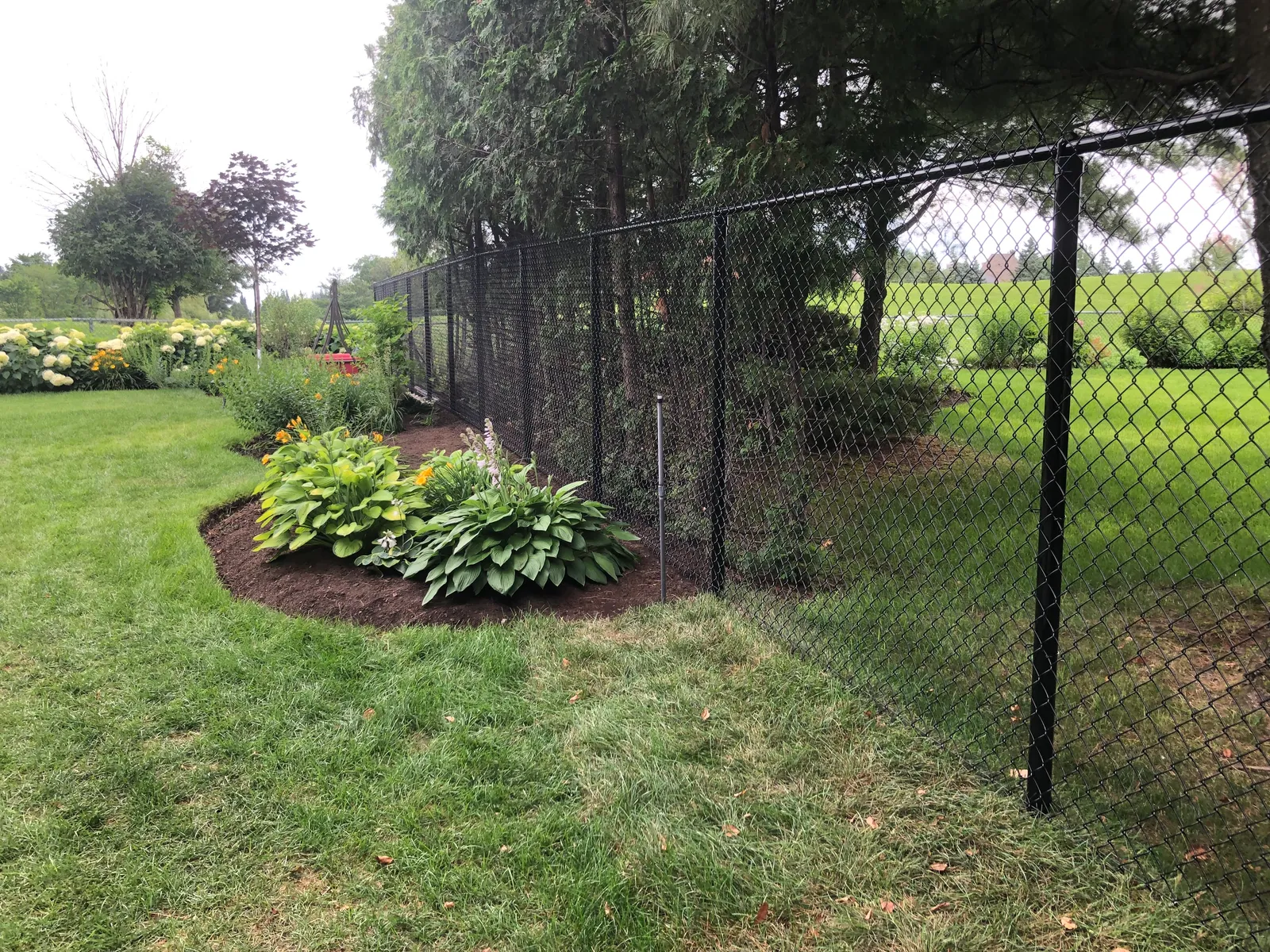 Chain link fence #021