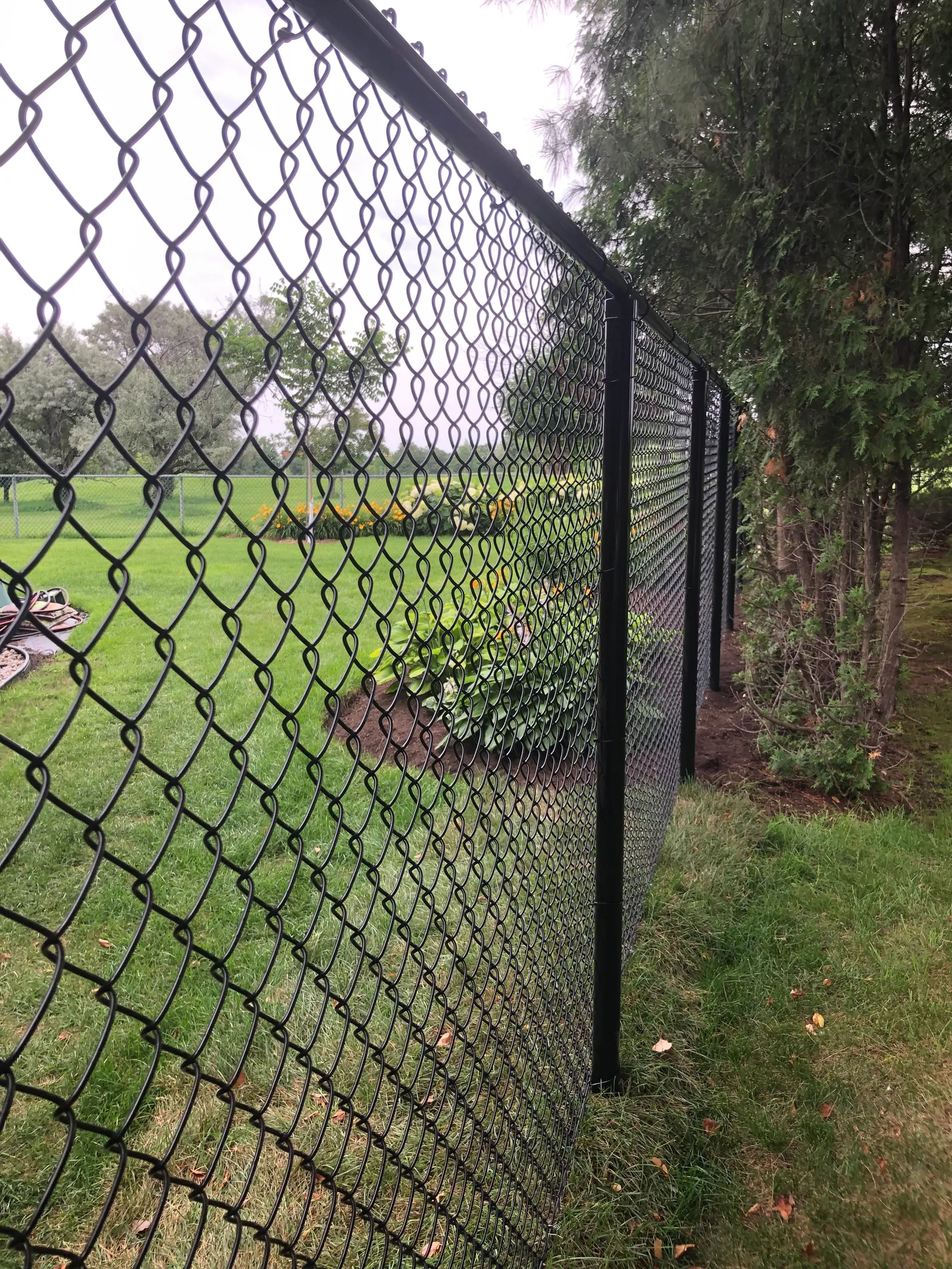 Chain link fence #023