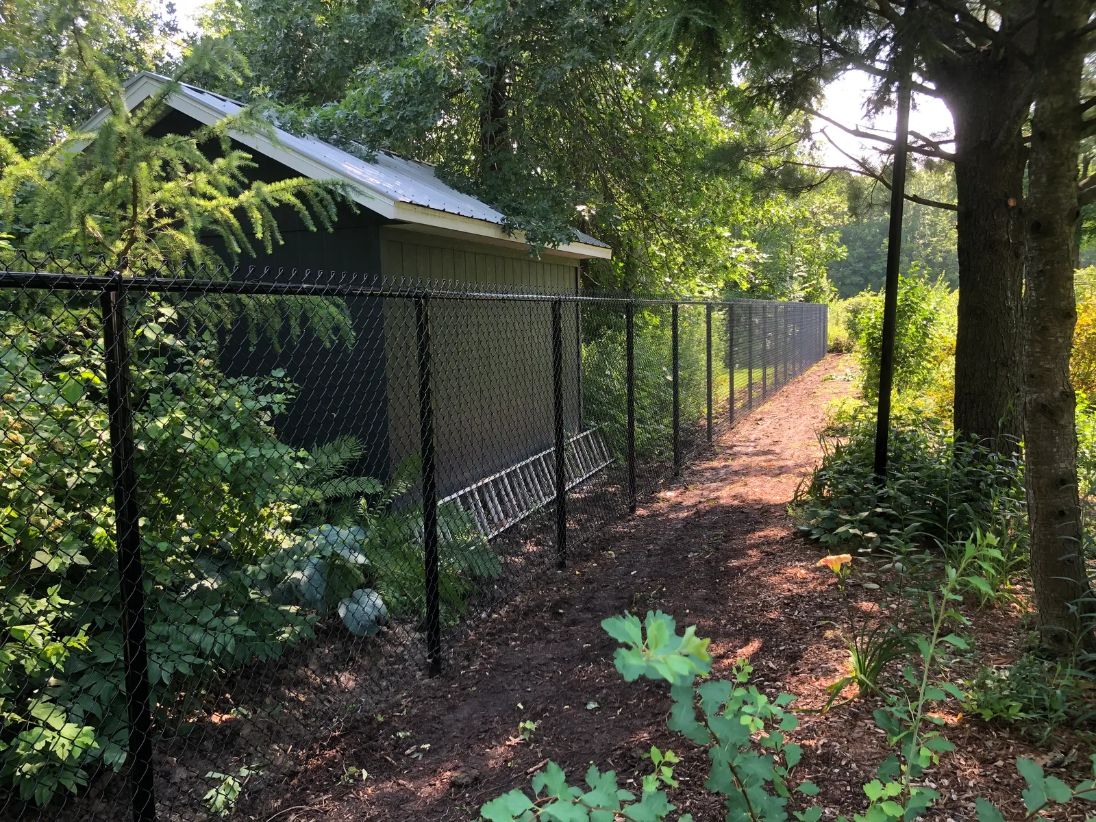 Chain link fence #024