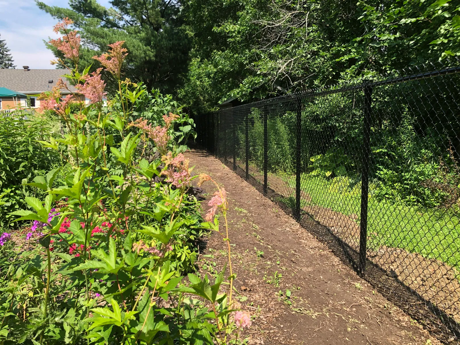 Chain link fence #025