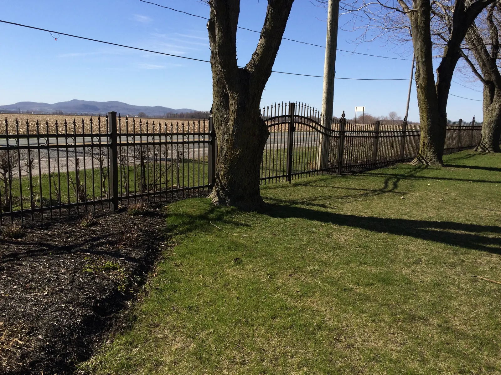 Ornamental fence #013