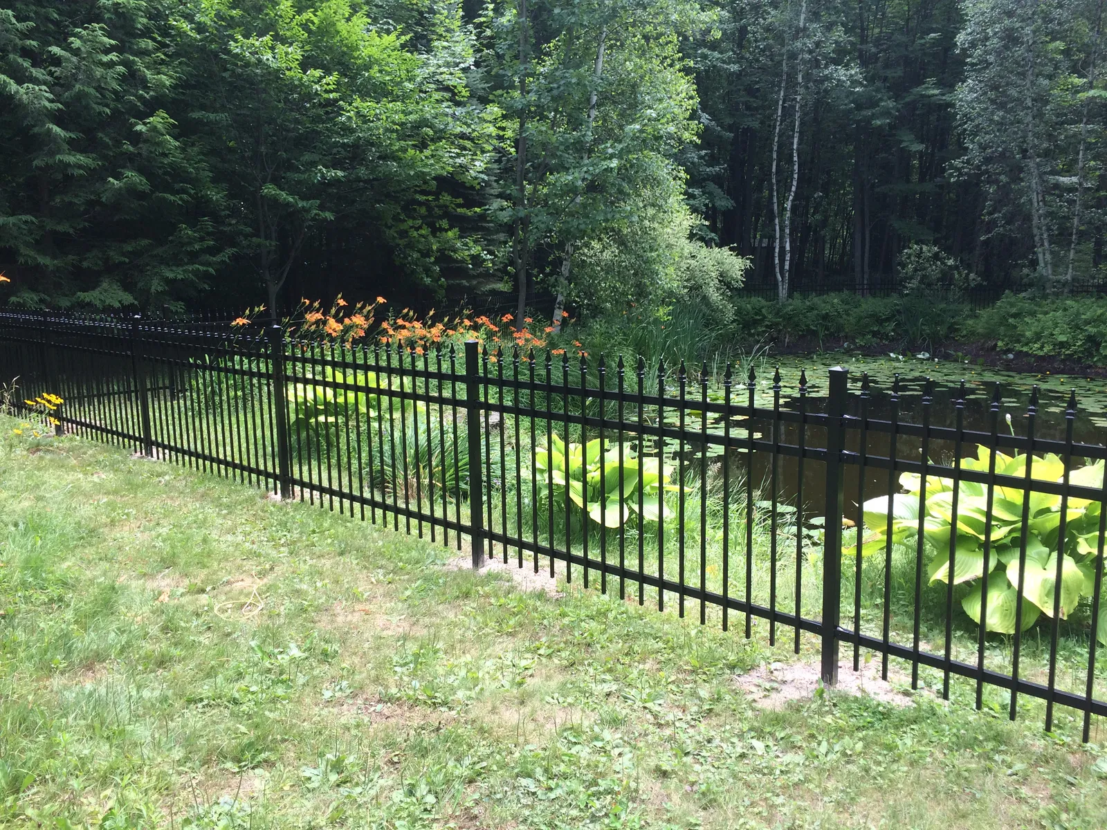 Ornamental fence #016