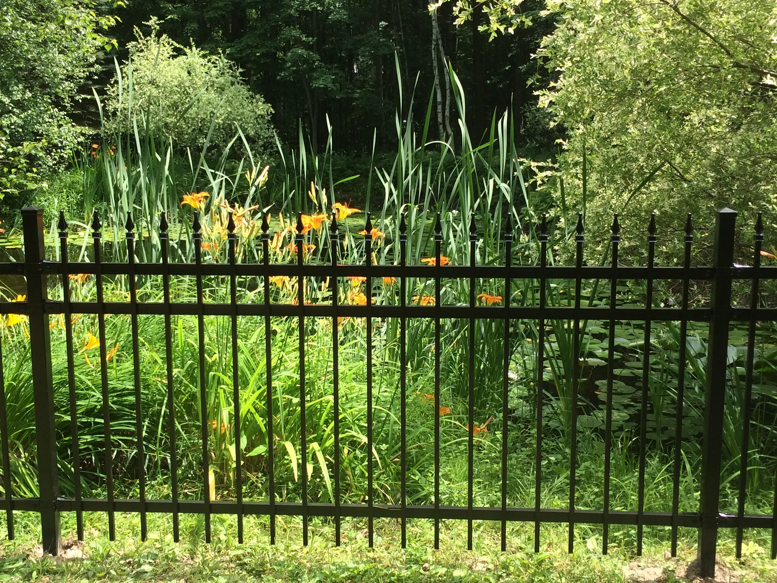 Ornamental fence #019