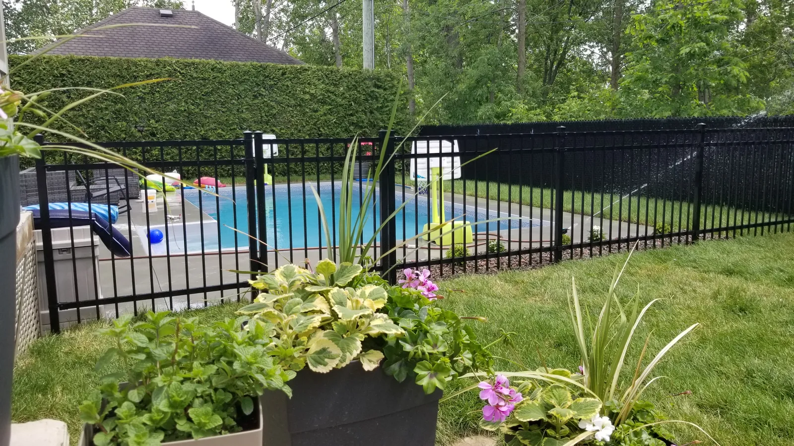 Pool fence #026