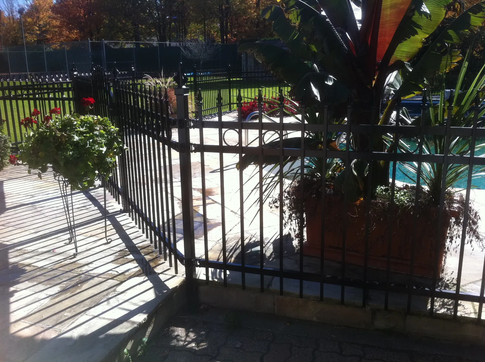 Pool fence #044