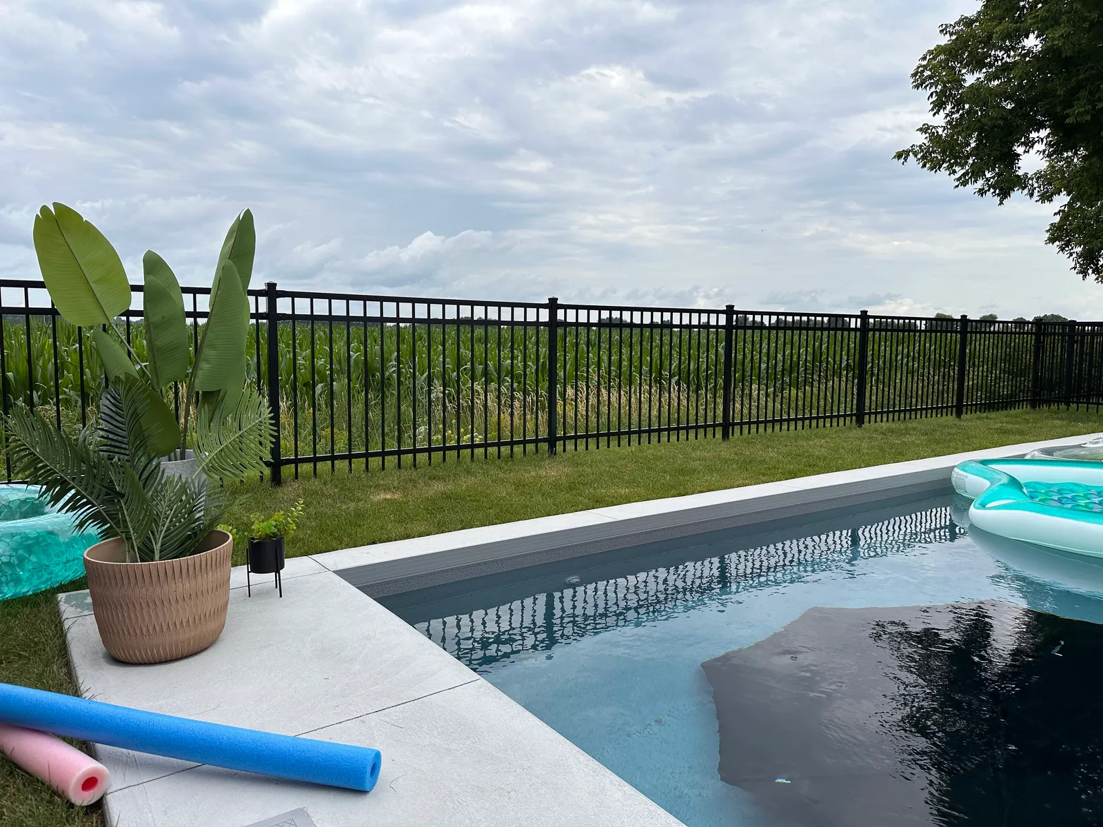 Pool fence #057