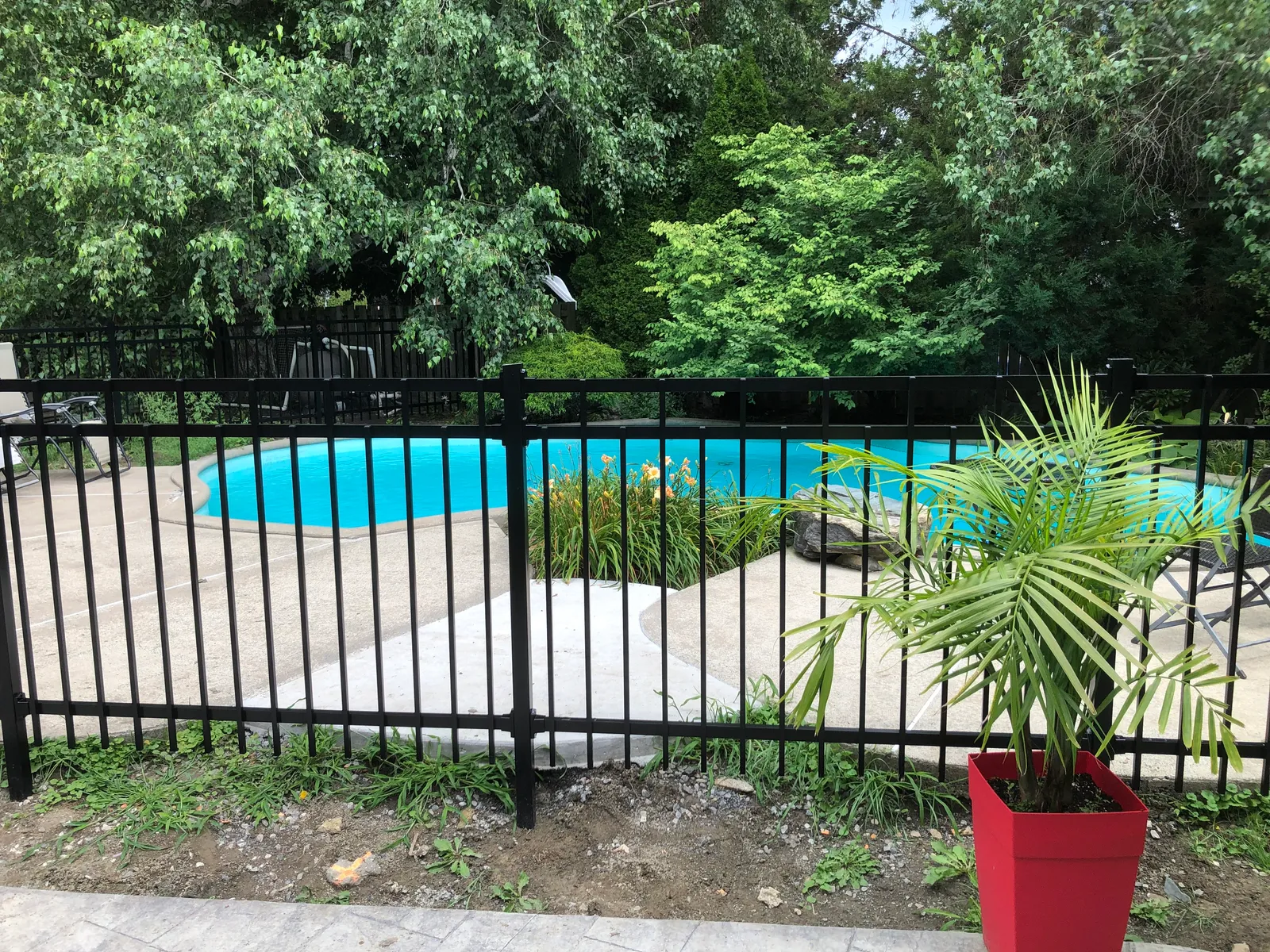 Pool fence #077