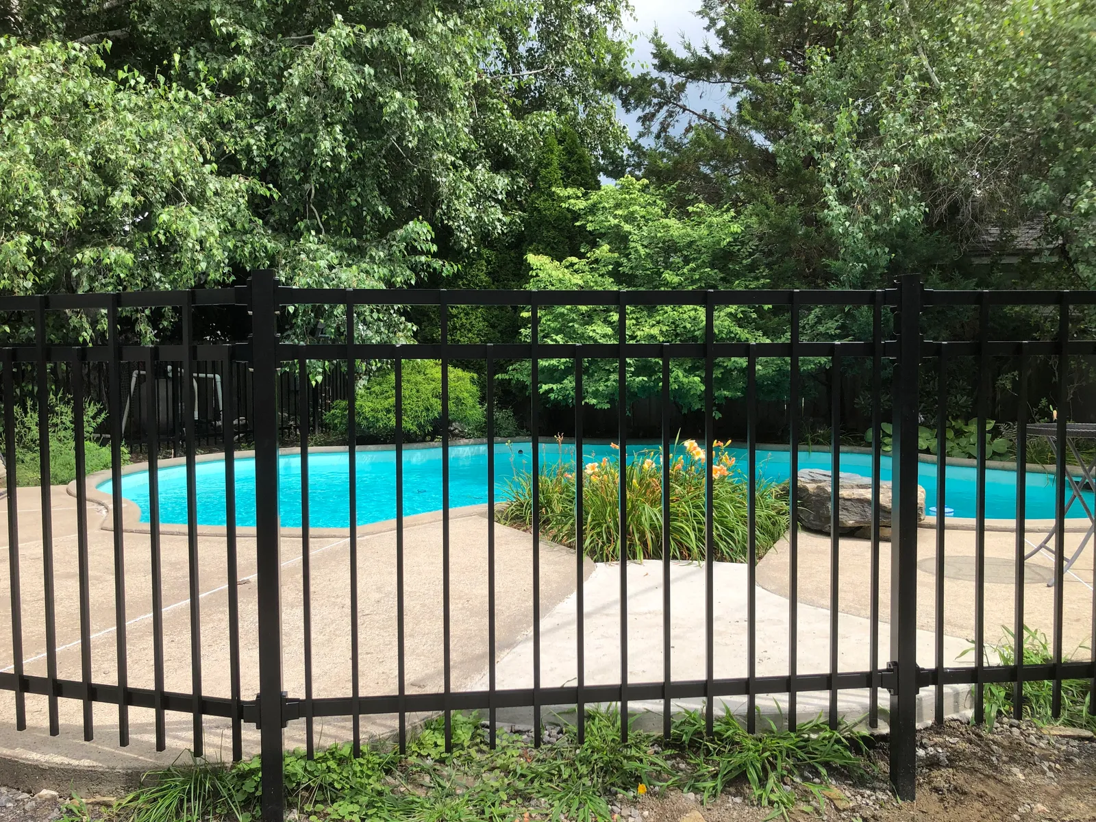 Pool fence #078